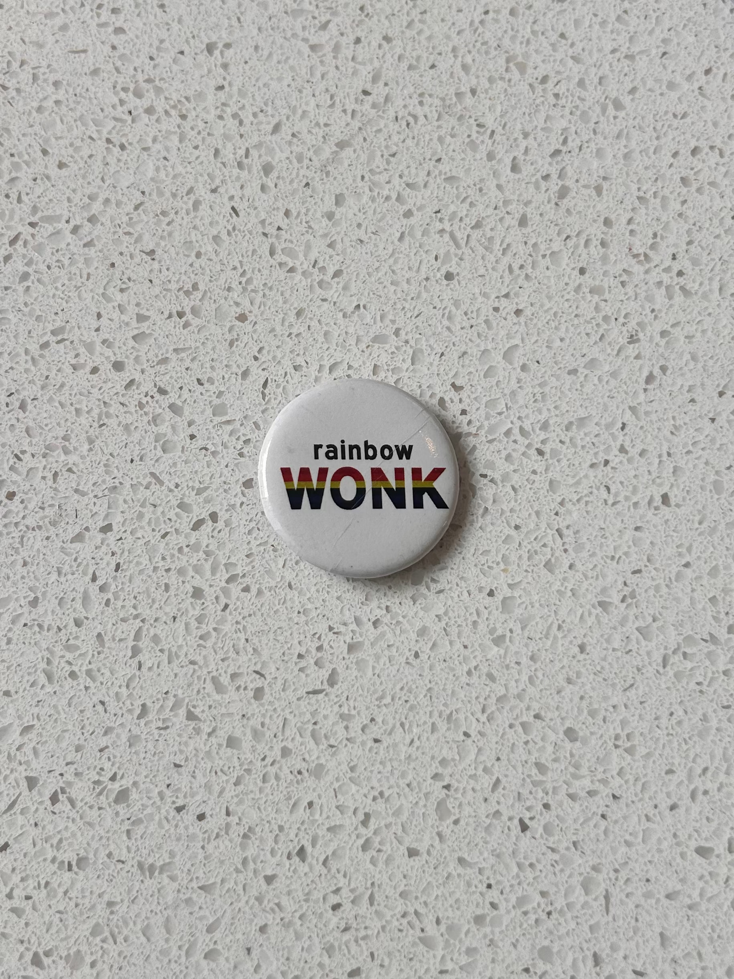 Rainbow Wonk Pin