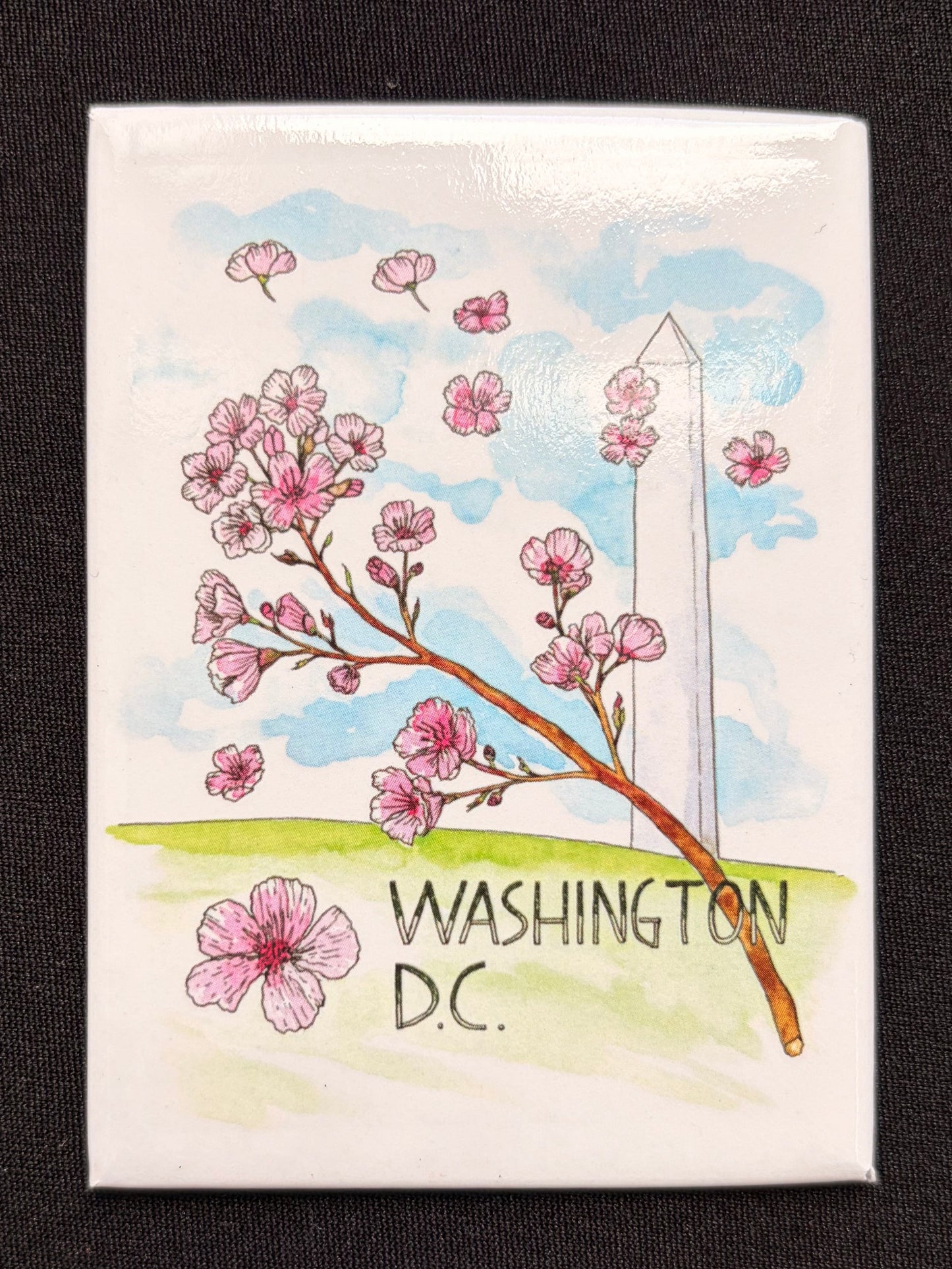 Washington, DC Cherry Blossoms Magnet